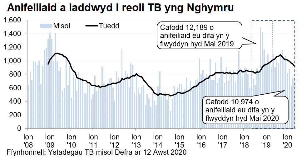 Siart yn dangos y tueddiad o ran anifeiliaid a gafodd eu difa er mwyn rheoli TB yng Nghymru ers 2008. Cafodd 10,974 o anifeiliaid eu difa yn ystod y 12 mis hyd Mai 2020, sy’n ostyngiad o 10% o’i gymharu â’r 12 mis blaenorol.