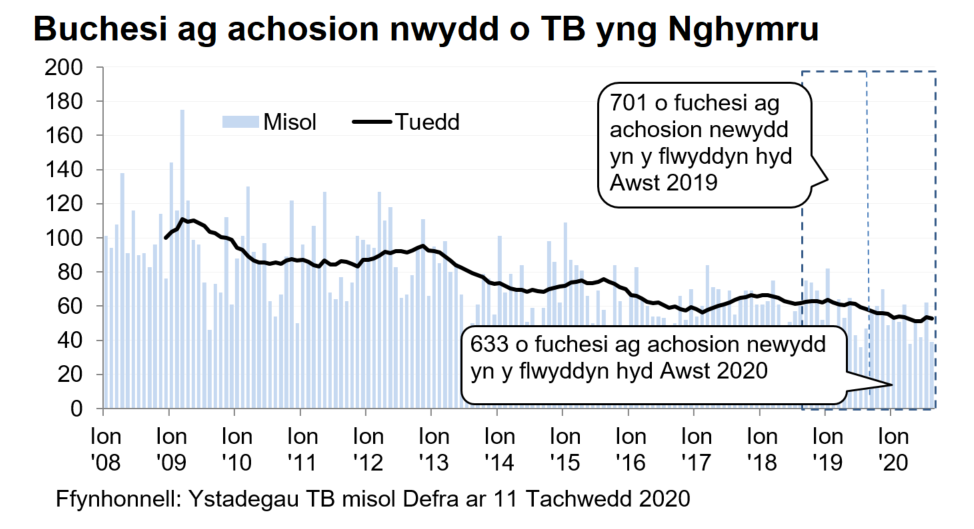 Siart yn dangos y tueddiad o ran achosion mewn buchesi newydd ers 2008. Roedd 633 o achosion newydd yn ystod y 12 mis hyd Awst 2020, sy’n ostyngiad o 10% o’i gymharu â’r 12 mis blaenorol.