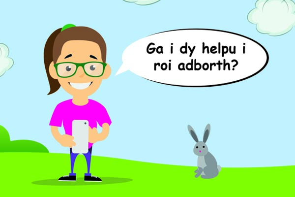Mae arnaf eisiau rhoi adborth