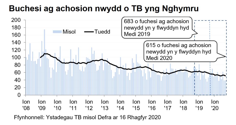 Siart yn dangos y tueddiad o ran achosion mewn buchesi newydd ers 2008. Roedd 615 o achosion newydd yn ystod y 12 mis hyd Medi 2020, sy’n ostyngiad o 10% o’i gymharu â’r 12 mis blaenorol.