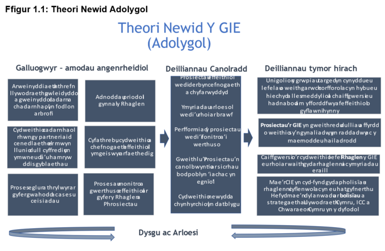 Model yn dangos sut mae galluogwyr wedi'u hadnabod yn arwain at ddeilliannau penodol a chanolraddol ac felly roedd angen deilliannau tymor hirach gydag adborth am ddysgu ac arloesedd drwy gydol y broses.