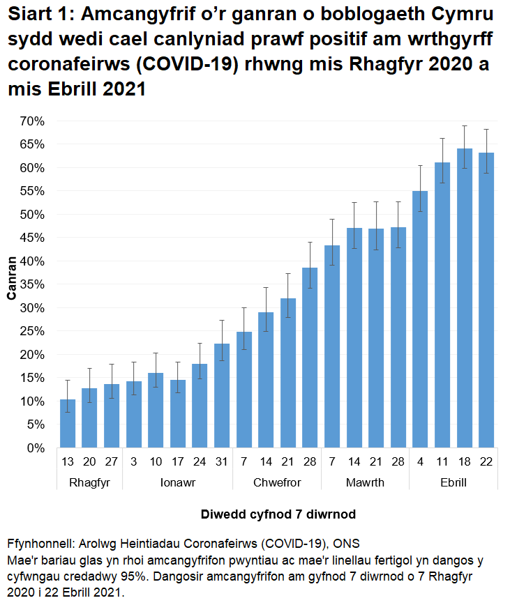 Mae'r siart yn dangos bod nifer y bobl sy'n profi'n bositif am wrthgyrff COVID-19 wedi lefelu ychydig.