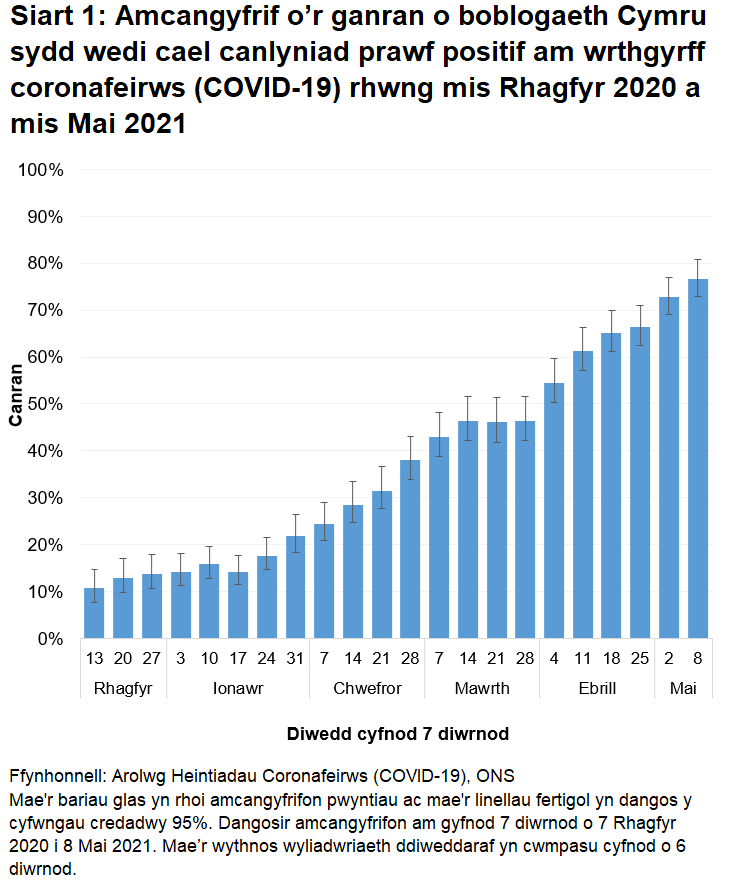 Mae'r siart yn dangos bod nifer y bobl sy'n profi'n bositif am wrthgyrff COVID-19 yn parhau i gynyddu.