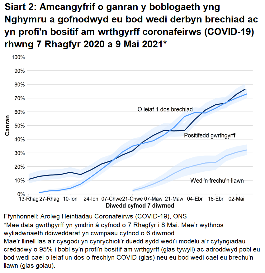 Mae'r siart yn dangos bod y gyfradd wrthgyrff, canran y bobl sy’n adrodd eu bod wedi cael o leiaf un dos o frechlyn COVID a’r rheini sydd wedi cael eu brechu’n llawn wedi parhau i gynyddu.
