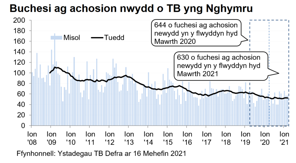 Siart yn dangos y tueddiad o ran achosion mewn buchesi newydd ers 2008. Roedd 630 o achosion newydd yn ystod y 12 mis hyd Mawrth 2021, sy’n ostyngiad o 2% o’i gymharu â’r 12 mis blaenorol.