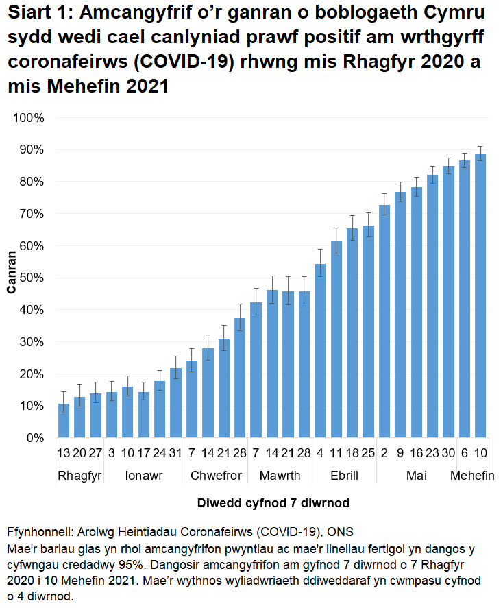 Mae'r siart yn dangos bod nifer y bobl sy'n profi'n bositif am wrthgyrff COVID-19 yn parhau i gynyddu.
