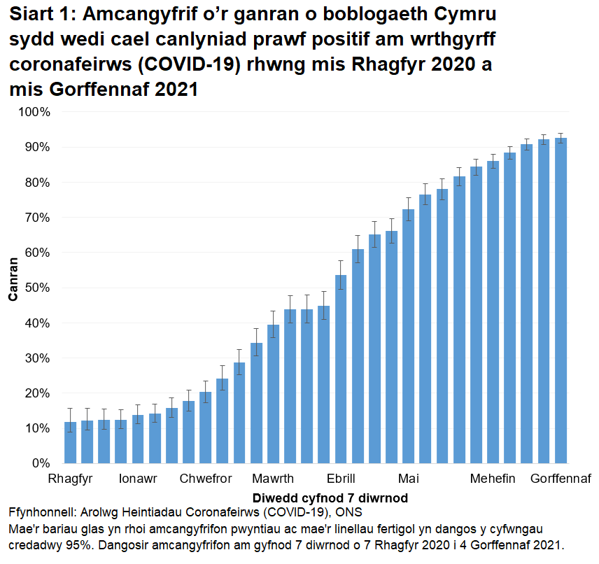 Mae'r siart yn dangos bod nifer y bobl sy'n profi'n bositif am wrthgyrff COVID-19 yn parhau i gynyddu.