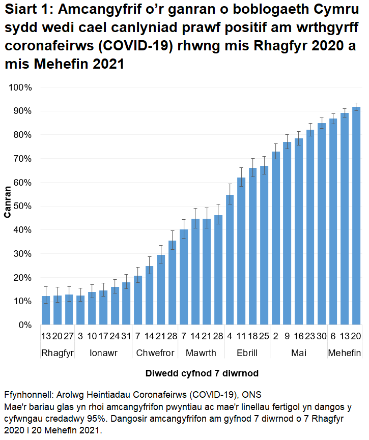 Mae'r siart yn dangos bod nifer y bobl sy'n profi'n bositif am wrthgyrff COVID-19 yn parhau i gynyddu.