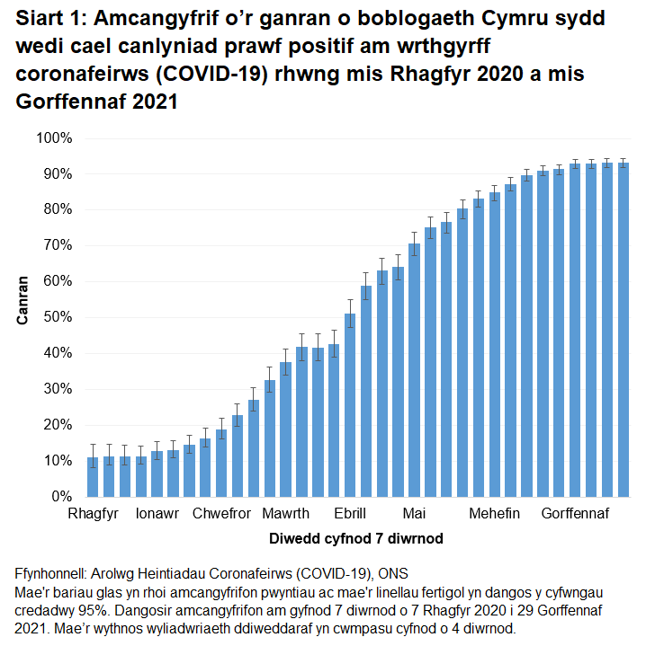 Mae'r siart yn dangos bod nifer y bobl sy'n profi'n bositif am wrthgyrff COVID-19 yn parhau i fod yn uchel.