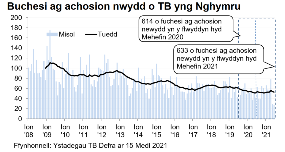 Siart yn dangos y tueddiad o ran achosion mewn buchesi newydd ers 2008. Roedd 633 o achosion newydd yn ystod y 12 mis hyd Mehefin 2021, sy’n gynnydd o 3% o’i gymharu â’r 12 mis blaenorol.