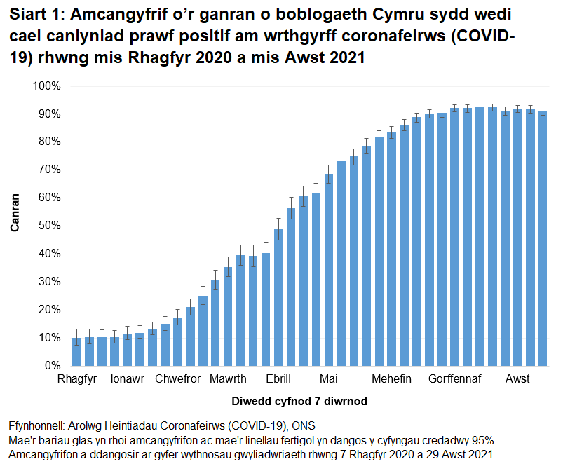 Mae'r siart yn dangos bod nifer y bobl sy'n profi'n bositif am wrthgyrff COVID-19 yn parhau i fod yn uchel.