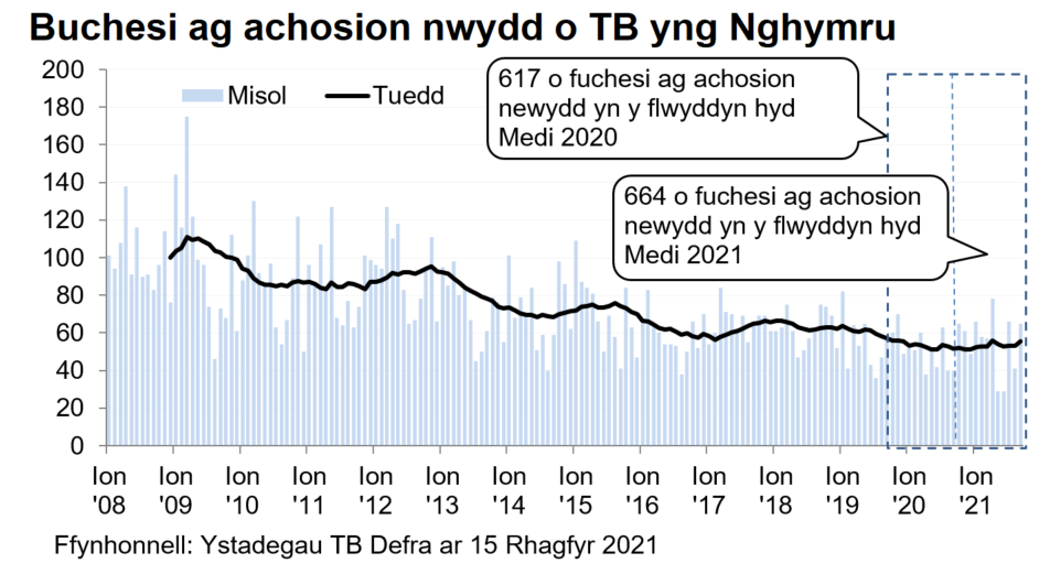 Siart yn dangos y tueddiad o ran achosion mewn buchesi newydd ers 2008. Roedd 664 o achosion newydd yn ystod y 12 mis hyd Medi 2021, sy’n gynnydd o 8% o’i gymharu â’r 12 mis blaenorol.