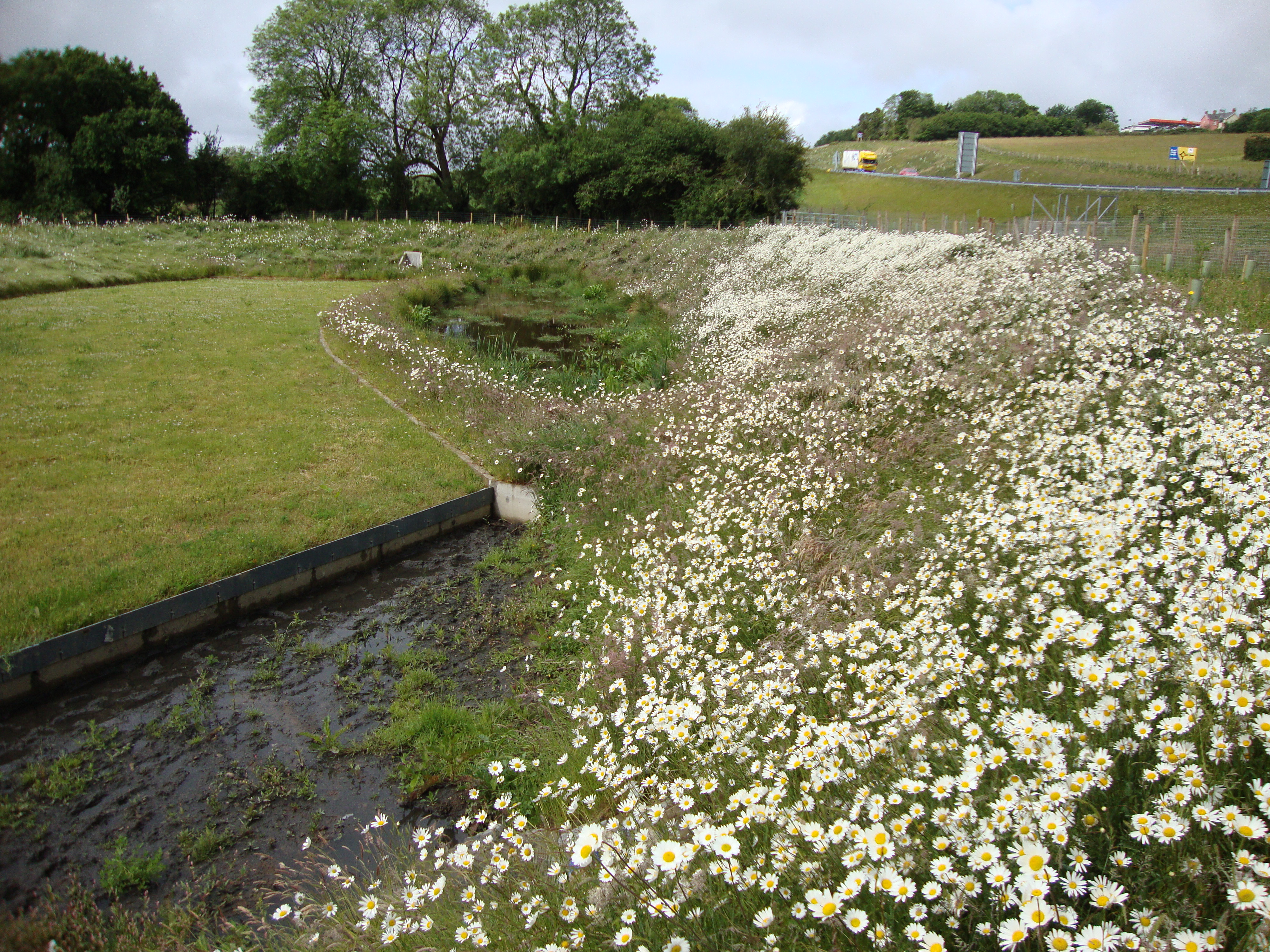 The natural drainage on A40 Penblewin to Slebech green corridor