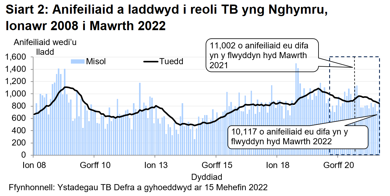 Siart yn dangos y tueddiad o ran anifeiliaid a gafodd eu difa er mwyn rheoli TB yng Nghymru ers 2008. Cafodd 10117 o anifeiliaid eu difa yn ystod y 12 mis hyd Mawrth 2022, sy’n ostyngiad o 8% o’i gymharu â’r 12 mis blaenorol.