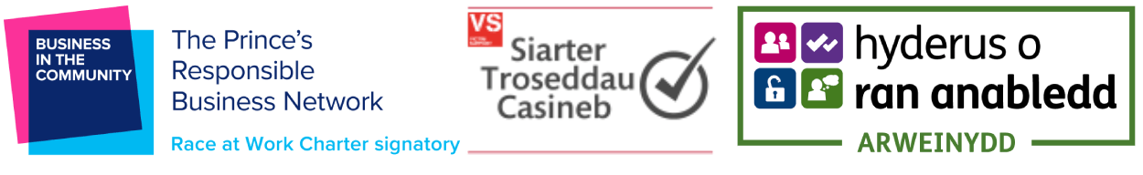 Logos: The Prince's Responsible Business Network, Siarter Troseddau, Hyderus o ran anabledd arweinydd