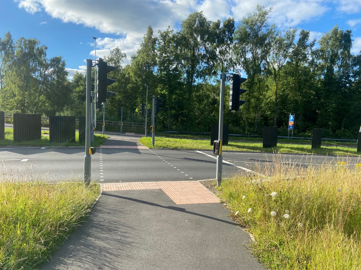 Image 3: View of pedestrian crossing