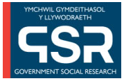 Ymchwil Gymdeithasol Y Llywodraeth