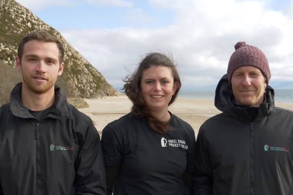 Prosiect Maelgi Cymru