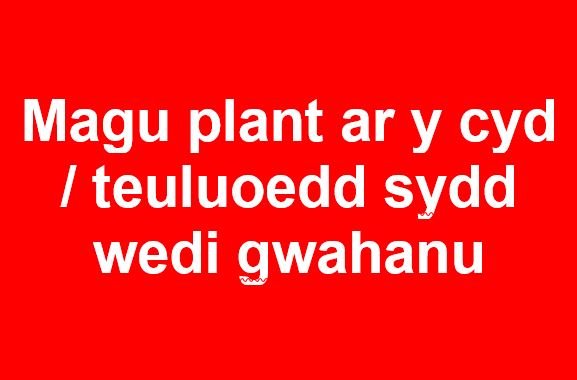 Magu plant ar y cyd a chymorth cydberthynas: 8 i 12 oed
