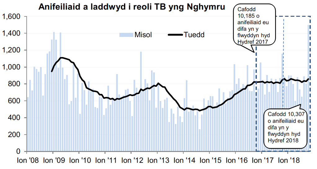 Siart yn dangos y tueddiad o ran anifeiliaid a gafodd eu difa er mwyn rheoli TB yng Nghymru ers 2008. Cafodd 10,307 o anifeiliaid eu difa yn ystod y 12 mis hyd Hydref 2018, sy’n gynnydd o 1% o’i gymharu â’r 12 mis blaenorol.