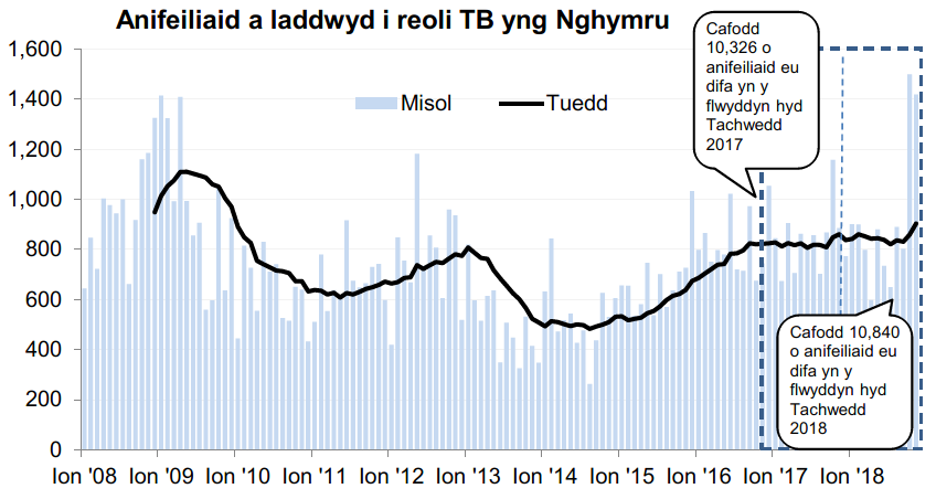 Siart yn dangos y tueddiad o ran anifeiliaid a gafodd eu difa er mwyn rheoli TB yng Nghymru ers 2008. Cafodd 10,840 o anifeiliaid eu difa yn ystod y 12 mis hyd Tachwedd 2018, sy’n gynnydd o 5% o’i gymharu â’r 12 mis blaenorol.