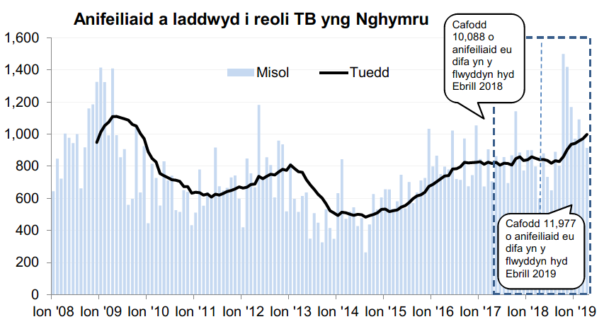 Siart yn dangos y tueddiad o ran anifeiliaid a gafodd eu difa er mwyn rheoli TB yng Nghymru ers 2008. Cafodd 11,977 o anifeiliaid eu difa yn ystod y 12 mis hyd Ebrill 2019, sy’n gynnydd o 19% o’i gymharu â’r 12 mis blaenorol.