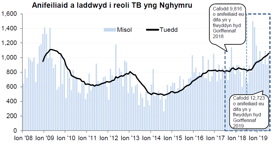 Siart yn dangos y tueddiad o ran anifeiliaid a gafodd eu difa er mwyn rheoli TB yng Nghymru ers 2008. Cafodd 12,723 o anifeiliaid eu difa yn ystod y 12 mis hyd Gorffennaf 2019, sy’n gynnydd o 30% o’i gymharu â’r 12 mis blaenorol.