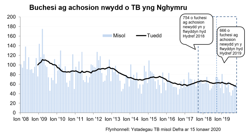 Siart yn dangos y tueddiad o ran achosion mewn buchesi newydd ers 2008. Roedd 666 o achosion newydd yn ystod y 12 mis hyd Hydref 2019, sy’n ostyngiad o 12% o’i gymharu â’r 12 mis blaenorol.
