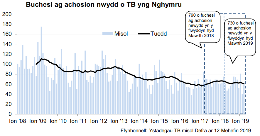 Siart yn dangos y tueddiad o ran achosion mewn buchesi newydd ers 2008. Roedd 730 o achosion newydd yn ystod y 12 mis hyd Mawrth 2019, sy’n ostyngiad o 8% o’i gymharu â’r 12 mis blaenorol.